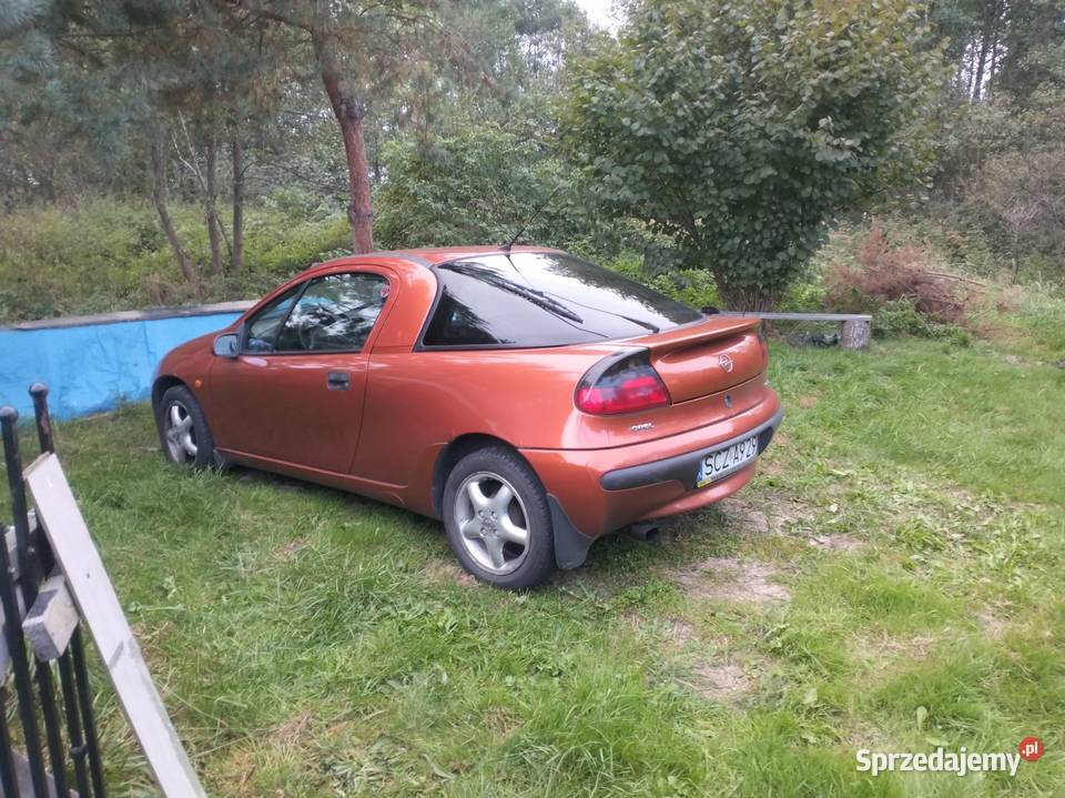 Opel Tigra benzyna Cykarzew Północny