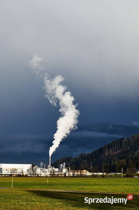 Raprt Kobize Starachowice Wodzisław Śląski Pozostałe Wrocław