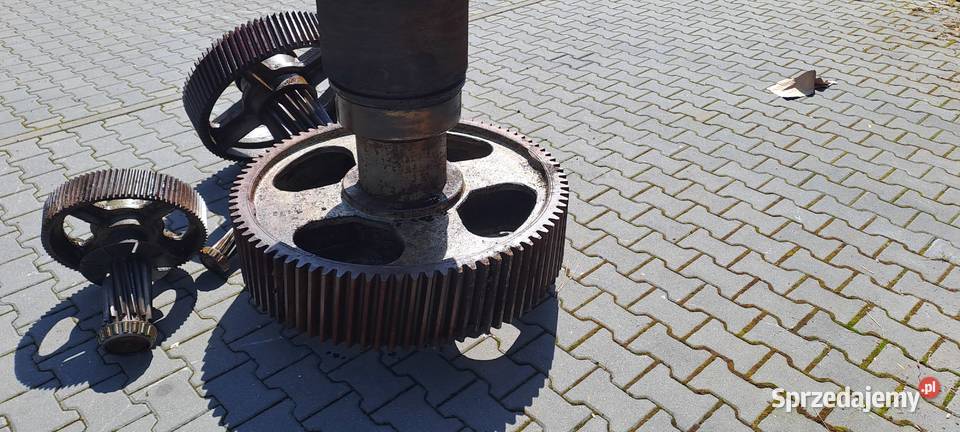 Koła zębate przekładni WT 1250 Koło zębate Poznachowice Dolne