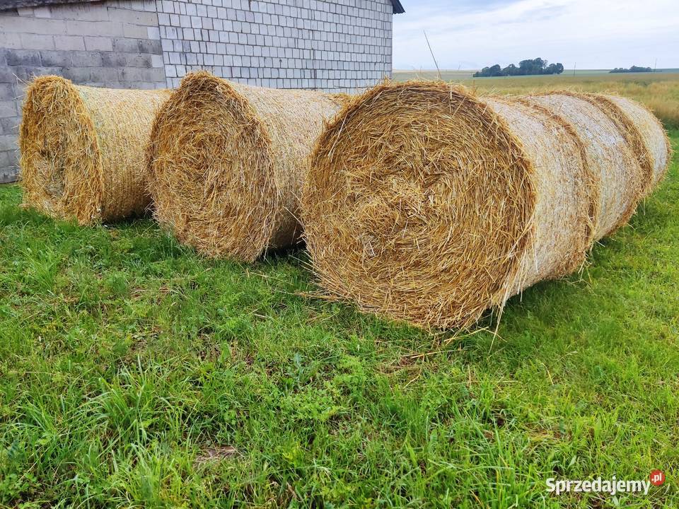 siano słoma jęczmienna baloty120x140 możliwość Chełm