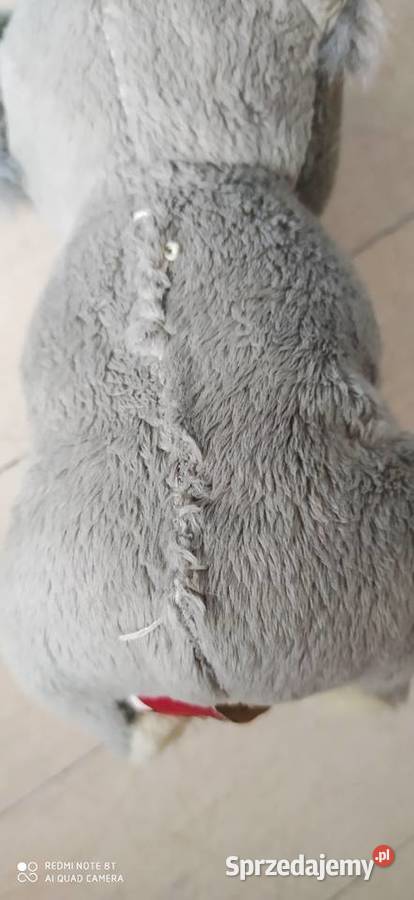 koala zabawka pluszowa pluszak maskotka Poznań