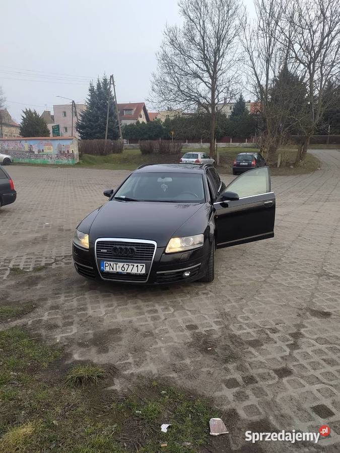 Sprszedam dobrych ludzi lubuskie Kożuchów