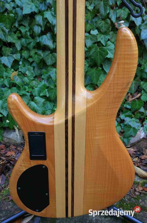 Gitara basowa Cort A5 aktywna Korea Tuszyn