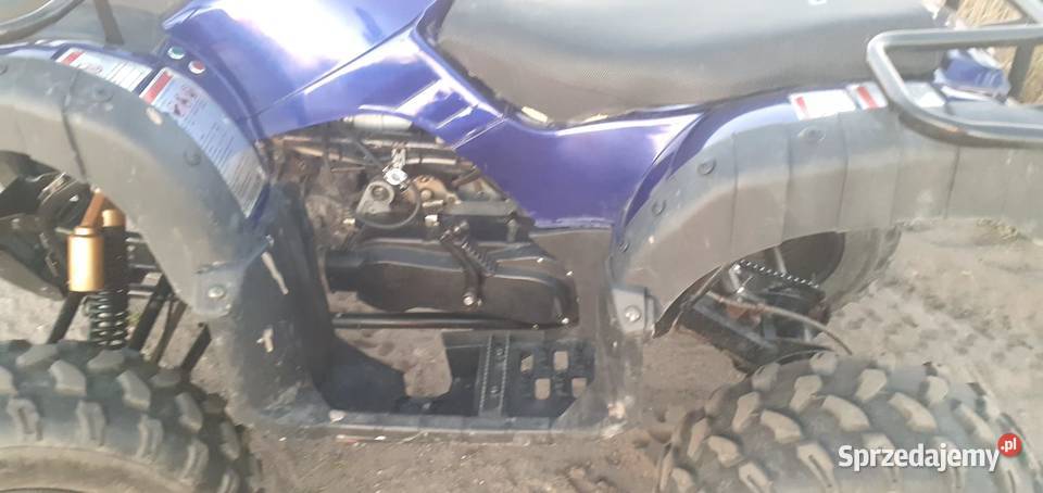 Quad 250 Goryń