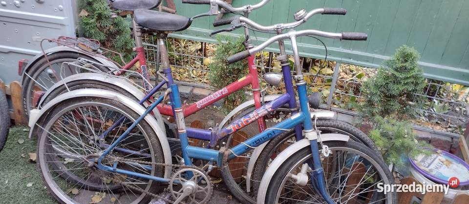 Jubilaty 4 sztuki całosc Nakło nad Notecią