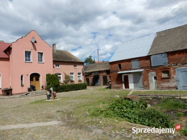 Syndyk sprzeda udział 422 działka 24 Trzeszyn