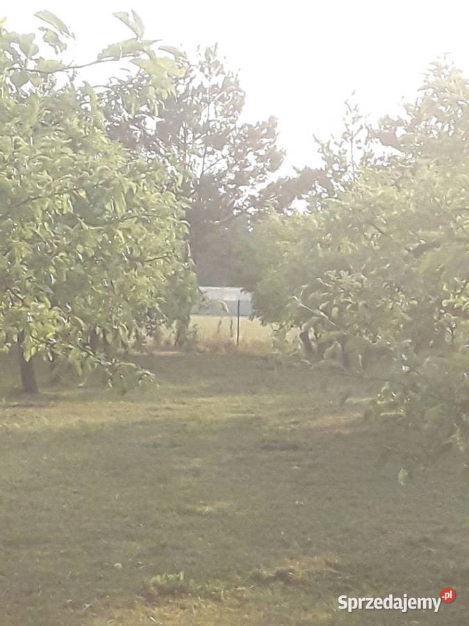 Koszenie wykaszanie usługi ogrodnicze Poznań prace ogrodowe