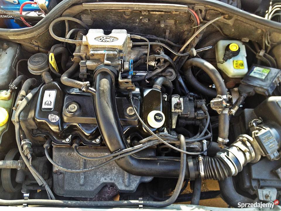 Ford Escort 14 LPG 1998 super stan sprowadzony Toruń