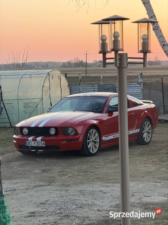 Ford mustang Ford mazowieckie Goworowo