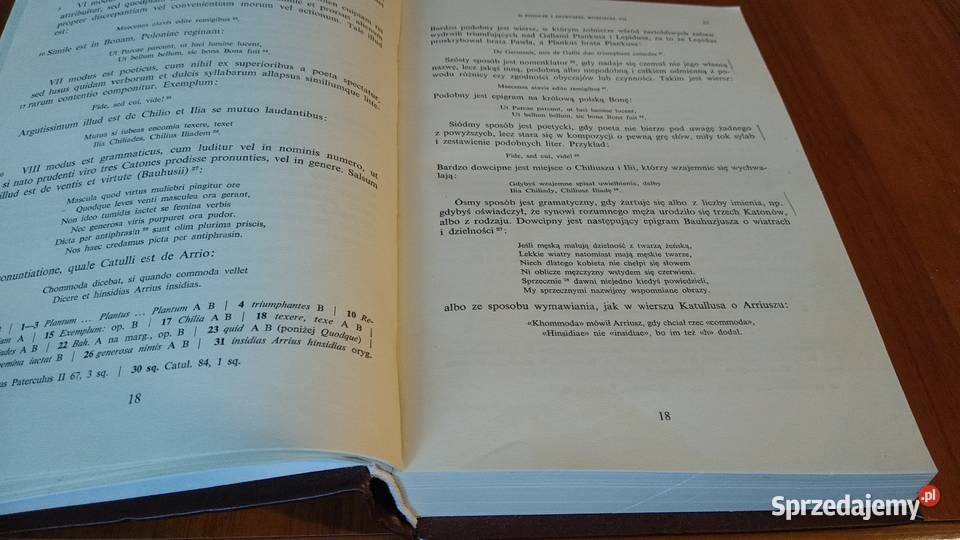 Wykłady poetyki Praecepta poetica Maciej Gdańsk