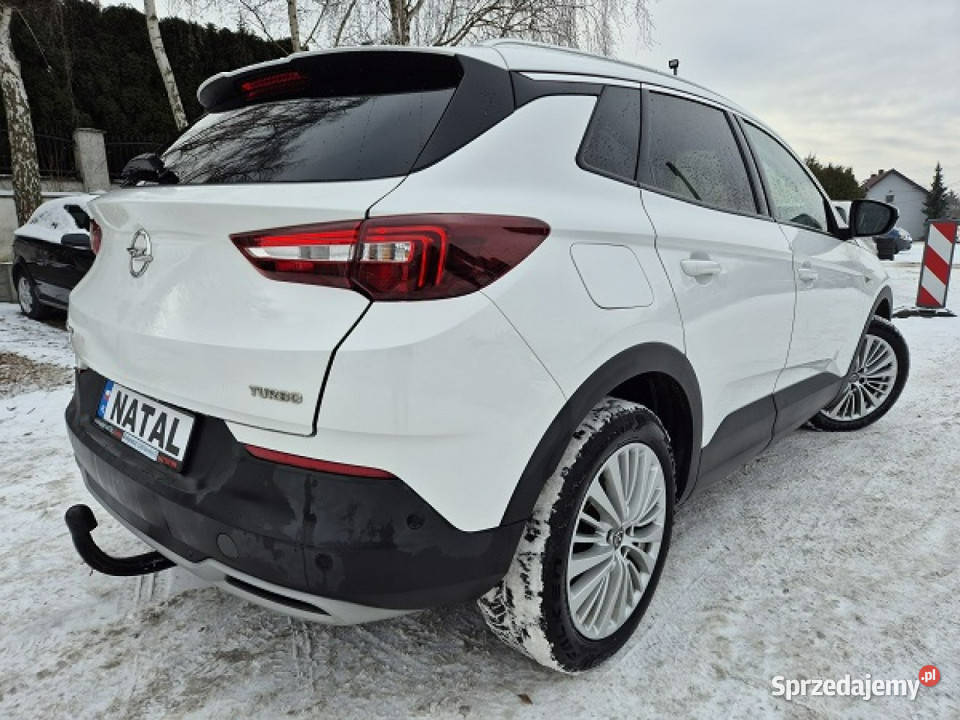 Opel Grandland X Najbogatsza wersja Skora Model Bydgoszcz