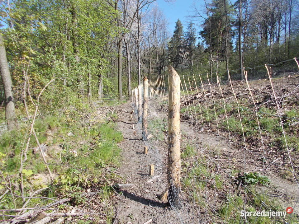 Siatka Ogrodzeniowa LEŚNA 15 mh 1501030 50 mb metal Ostroszowice