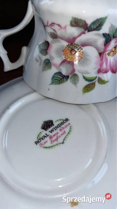 Filiżanka Royal Windsor England Alberta Wild Gdańsk