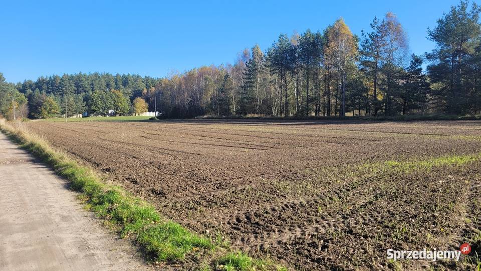 2 działki budowlane w Donimierzu k Szemuda Donimierz sprzedam