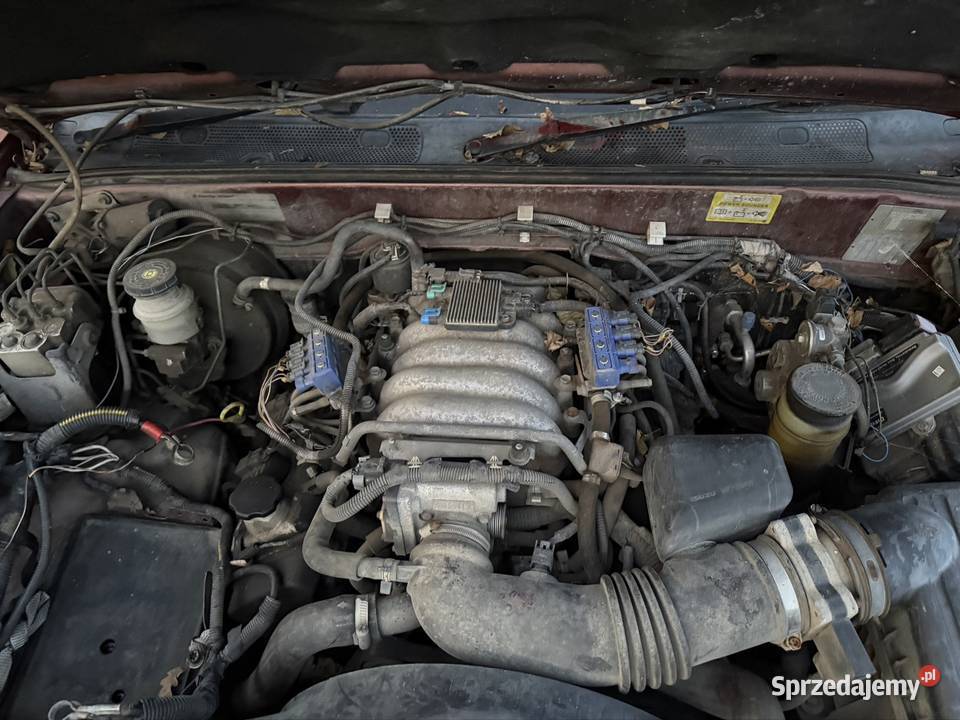 Opelvauxhall frontera 32 v6 Terenowy Samochody osobowe Tumanek