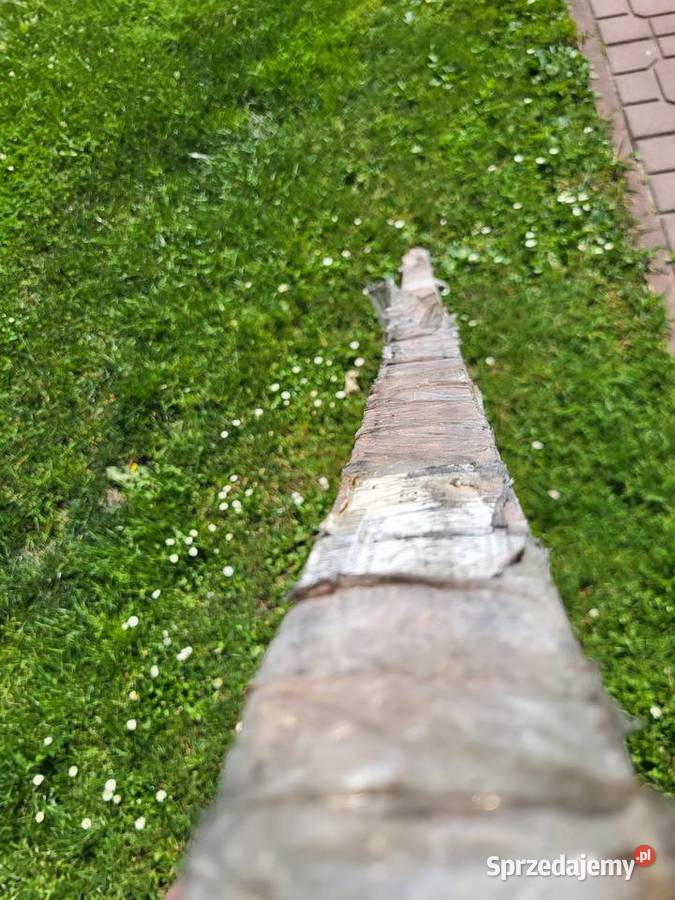 Szyna zbiorcza Legrand Piaski sprzedam