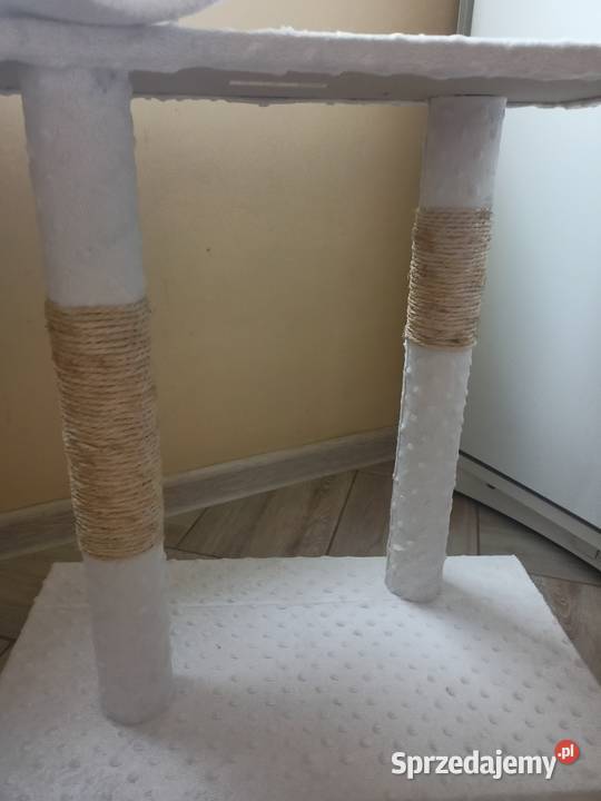 Drapak kota Włocławek sprzedam