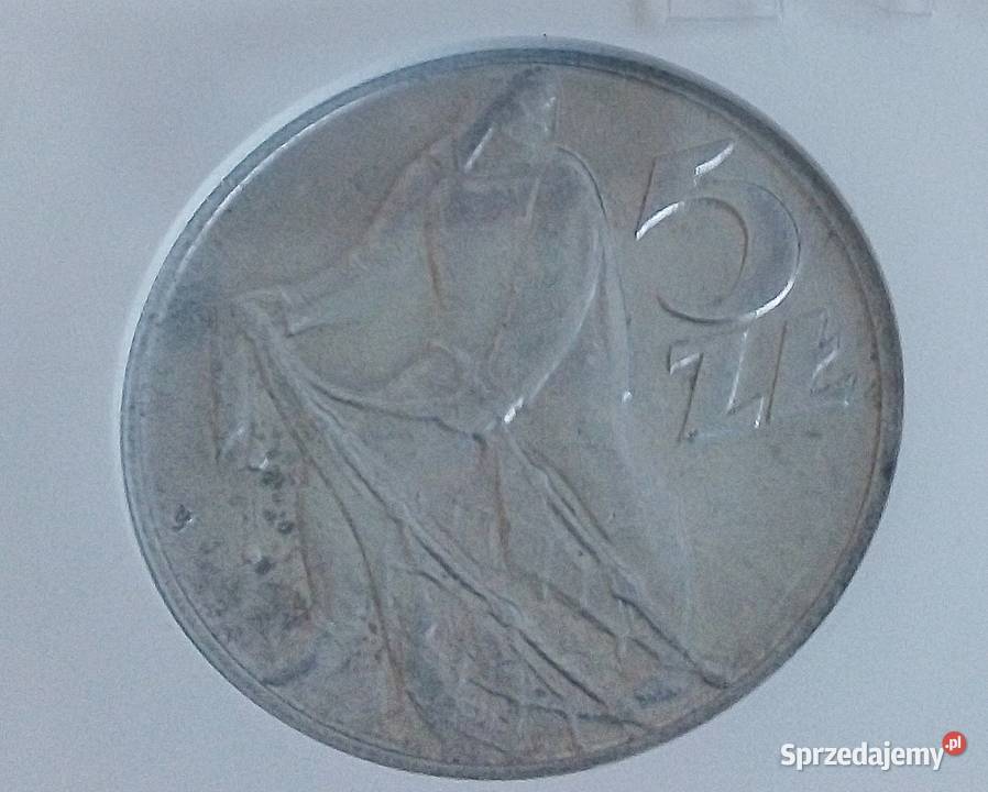 POLSKA5 ZL1960 r ALGRADINGAU55RYBAK bzm Legionowo sprzedam