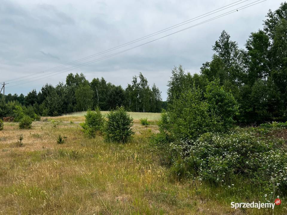 Działka budowlana Łąkie