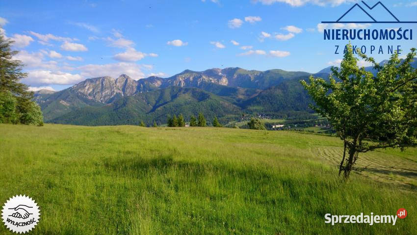 Grunt do sprzedania 2749m2 Kościelisko