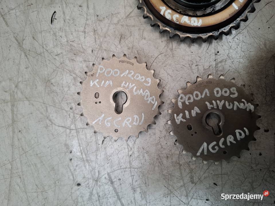 KIA HYUNDAI D4FB 16CRDI koło rozrządu pasowe osobowe Kielce