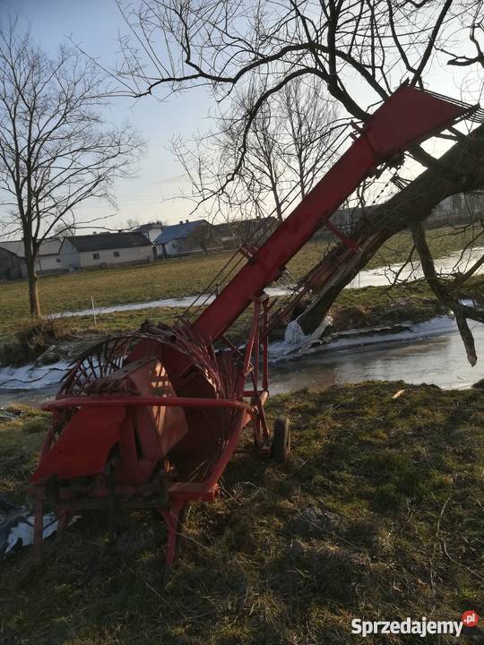 Sprzedam wyorywacz do buraków Wnory-Wypychy