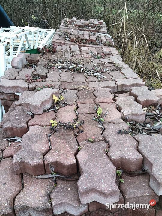 Kostka brukowa Pozostałe Opole Lubelskie sprzedam