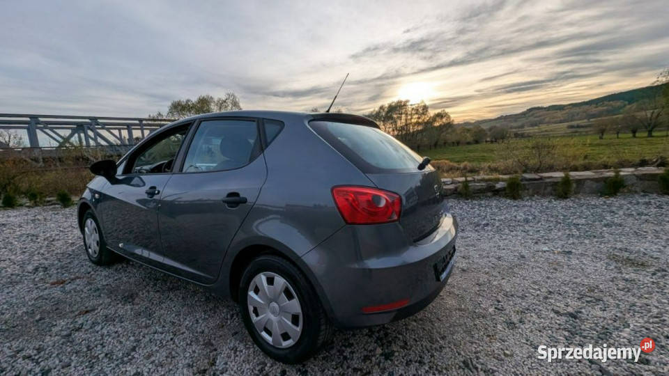 Seat Ibiza 12 benzyna IV 2008 Ibiza