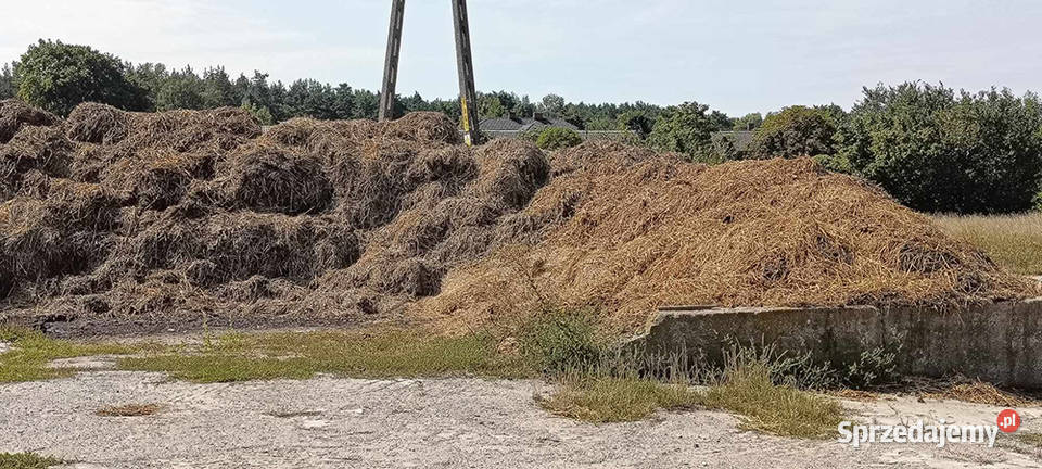 Obornik koński promocja Wysokie Mazowieckie sprzedam