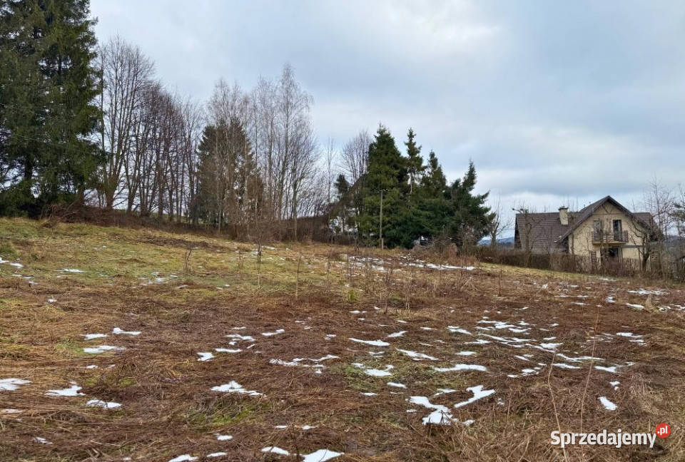 Dom 101 metrów Czarna sprzedam