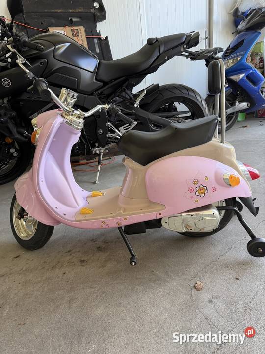Motor elektryczny pink wielkopolskie