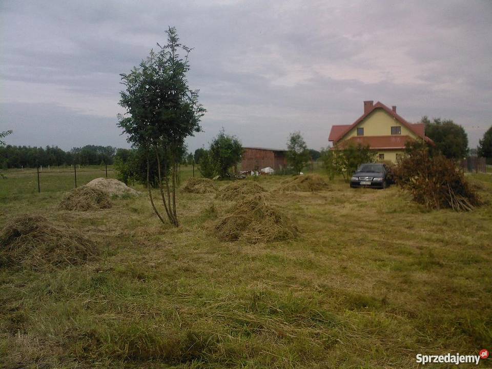 CHROŚLA Dębe Wielkie 898m2 Idealna DZIAŁKA 16 Chrośla