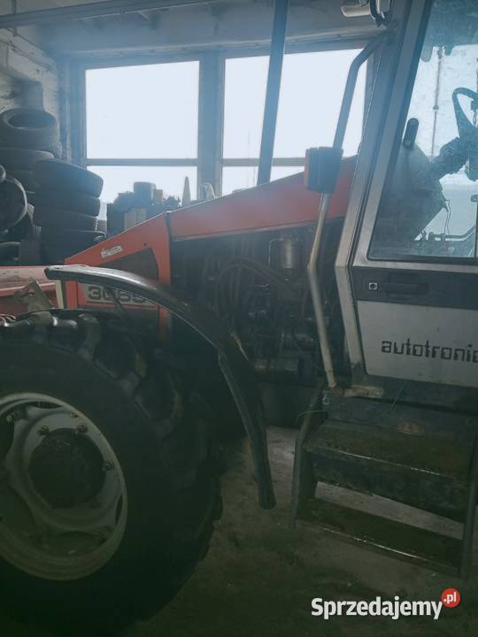 massey ferguson 3065 zachodniopomorskie