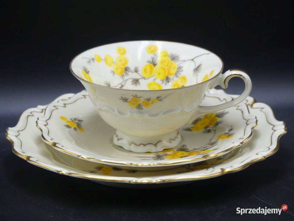 Komplet śniadaniowy Sorau Żary żółte Mimozy Poznań