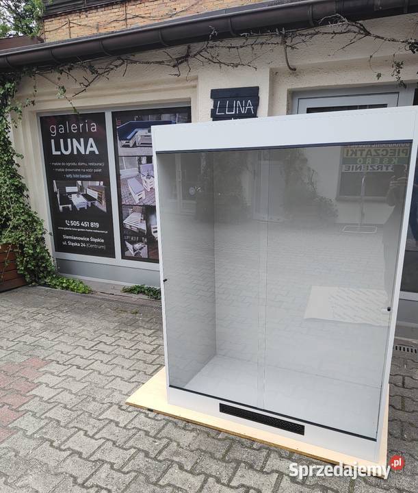 Terrarium agamy błotnej legwana zielonego boa