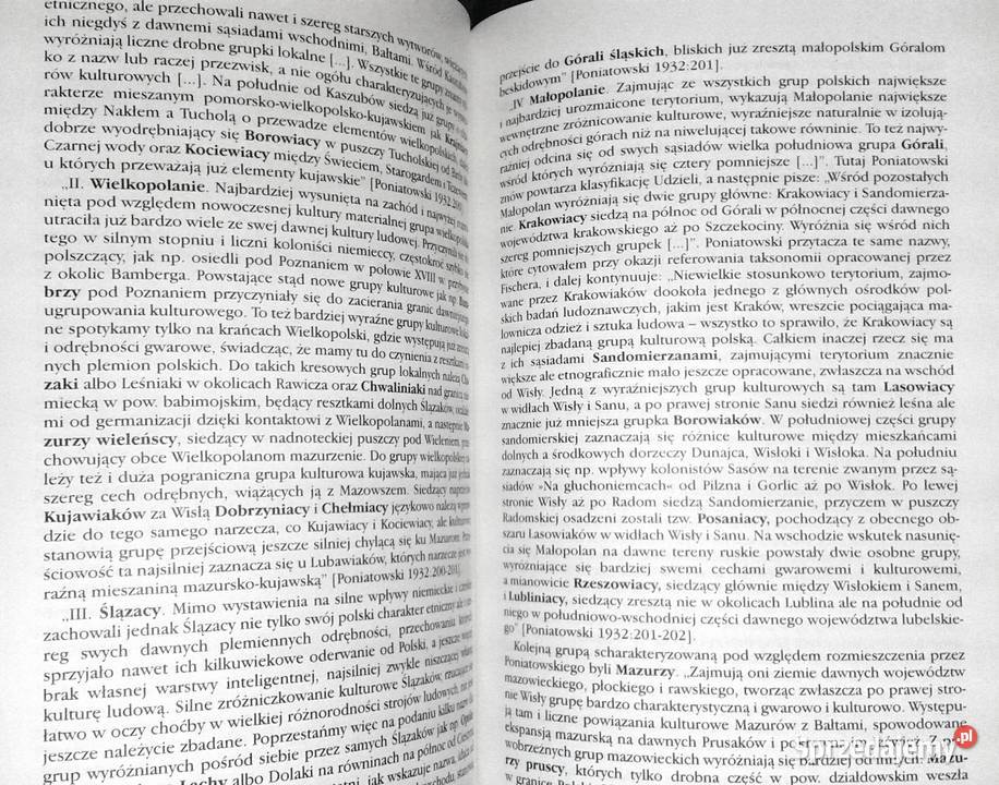 Tutejsi i inni Stanisław Węglarz Chełm sprzedam