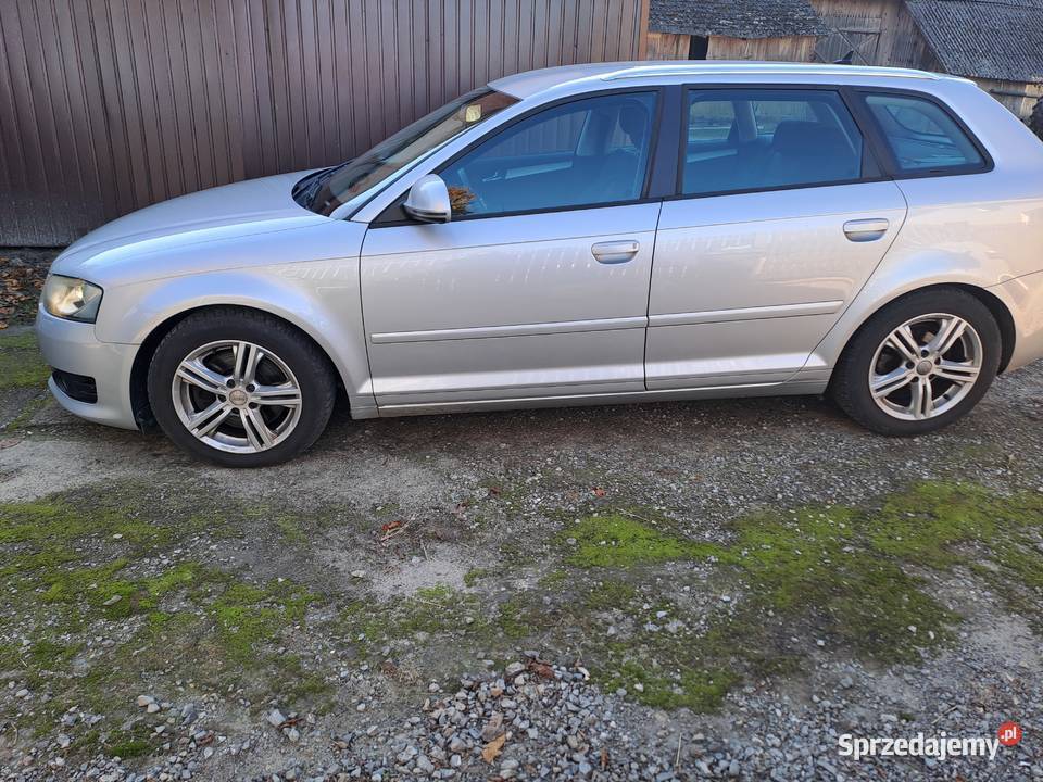 Audi a3 8p lift 20 tdi 170