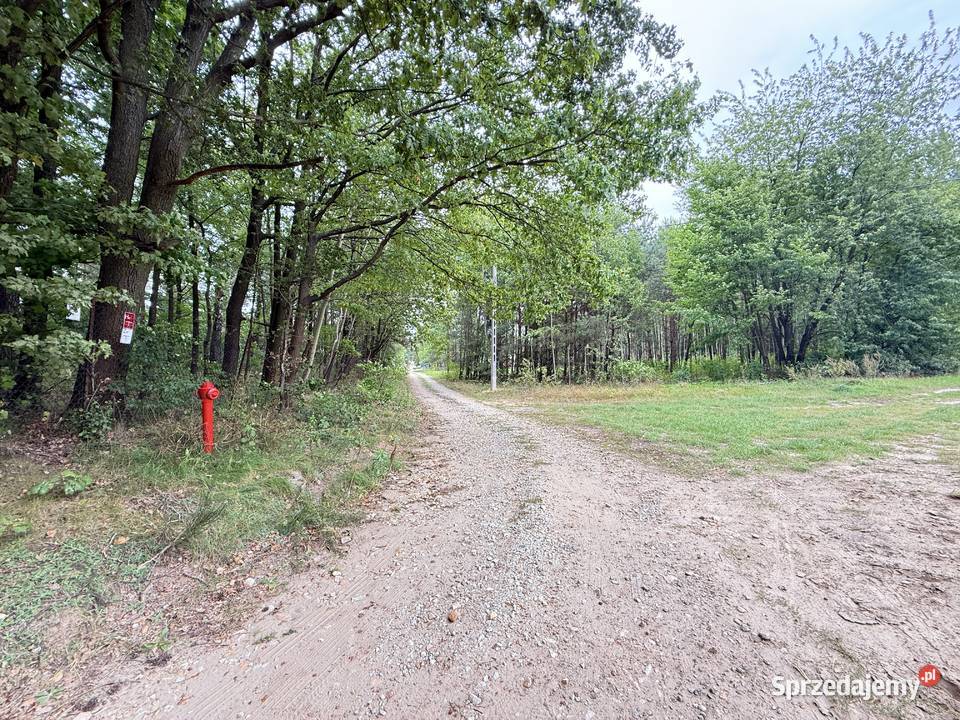 Działka budowlana w Rosanowie wz pozwolenie na Rosanów