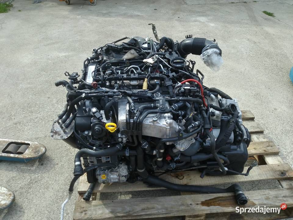 silnik DFEA Touran 20 TDI Dębno