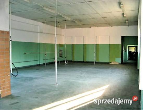 Siedlisko 7150m2 kModlina woj mazowieckie 448zł/m2 mazowieckie Wymysły sprzedam