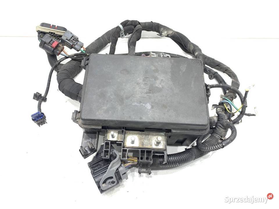 SKRZYNKA BEZPIECZNIKÓW FORD TRANSIT CUSTOM I osobowe sprzedam