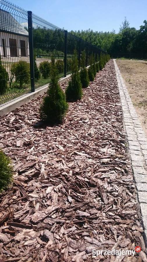 Kora ogrodowa ozdobna dekoracyjna małopolskie Brzesko