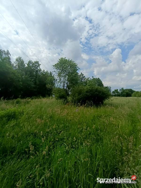 ŁADNA DZIAŁKA W ŚWIERZOWEJ POLSKIEJ 24 AR Krosno