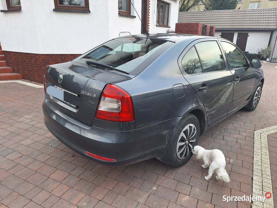 SKODA OCTAVIA II LIFT 14 BENZYNA 2010r 260000 Ciechanowiec