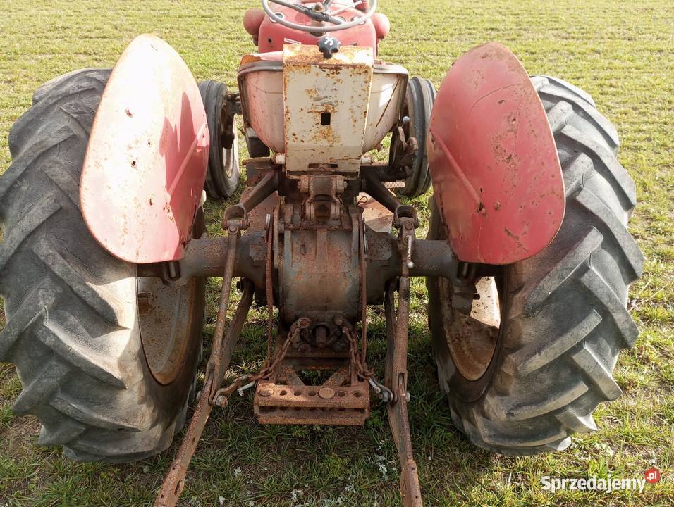 Ciągnik Massey Ferguson wielkopolskie Buk