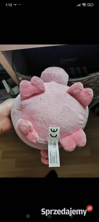 Świnka prosiaczek z biedronki Łódź