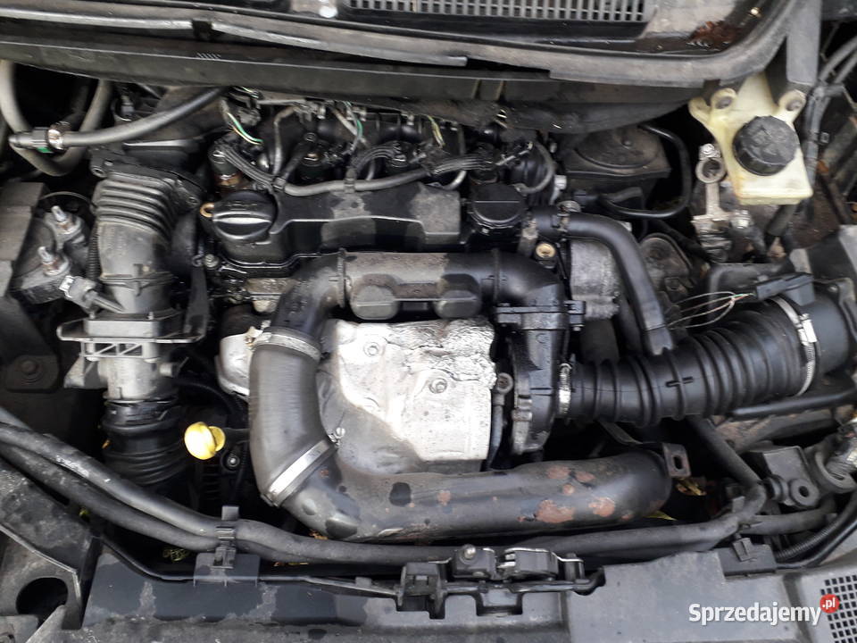 volvo s40 II 16td dawca czesci Parczew