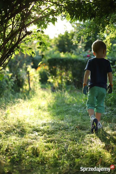 Ogródek działka ROD Zorza Śródmieście siatka Wrocław
