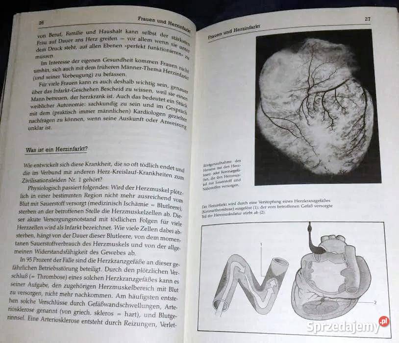 FRAU Handbuch 2 Gesund Leben Minker Margaret twarda Pozostałe Chełm