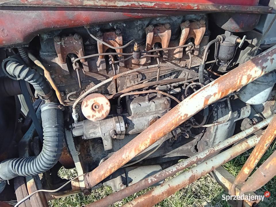 massey 35135 2812 3512 4p ursus c330 zetor podlaskie Kobylin-Borzymy sprzedam